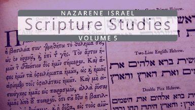Nazarene Scripture Studies vol 5