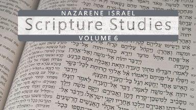 Nazarene Scripture Studies vol 6