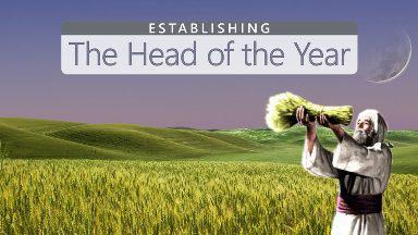 Establishing the Head of the Year